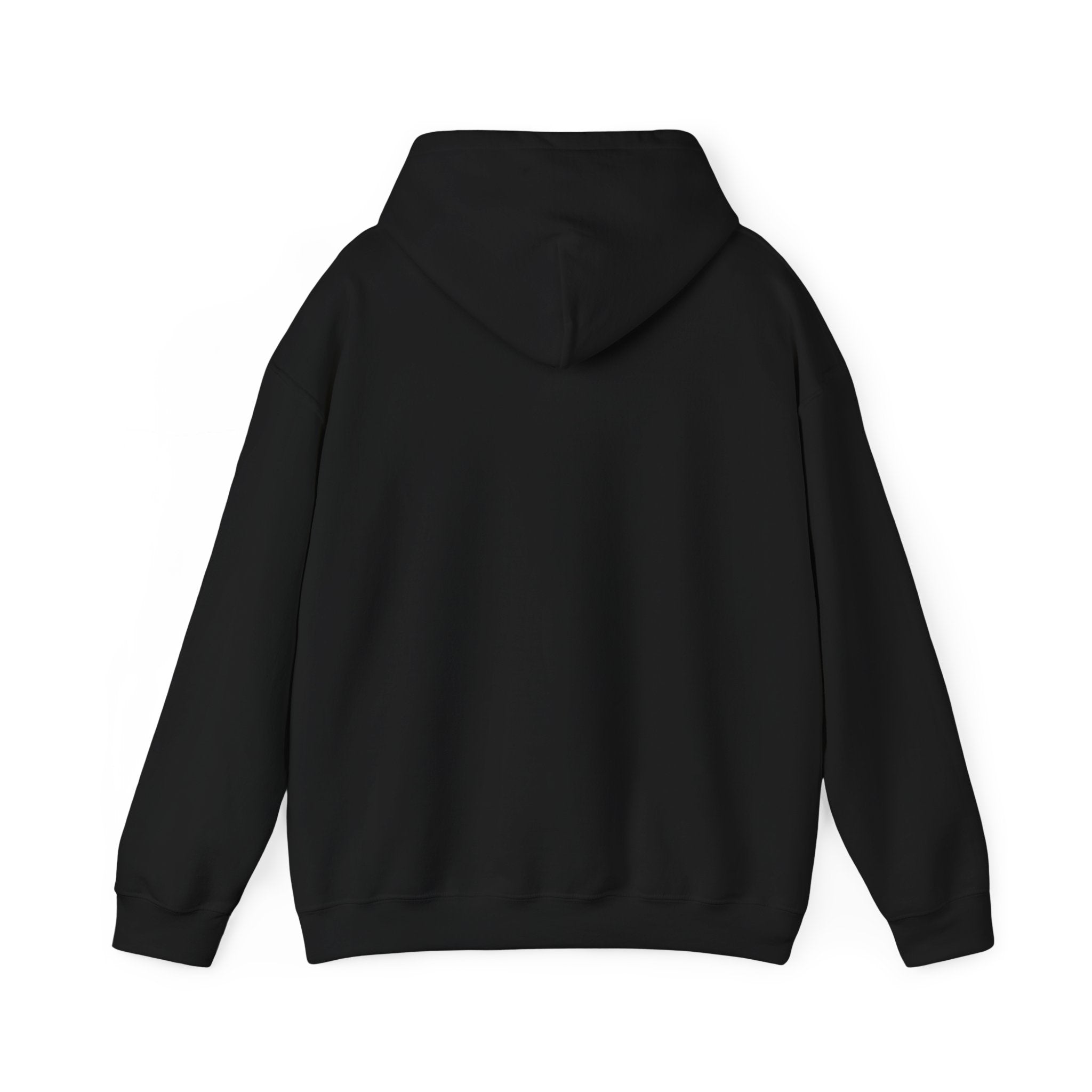 No Kings Hoodie — Winter Pullover